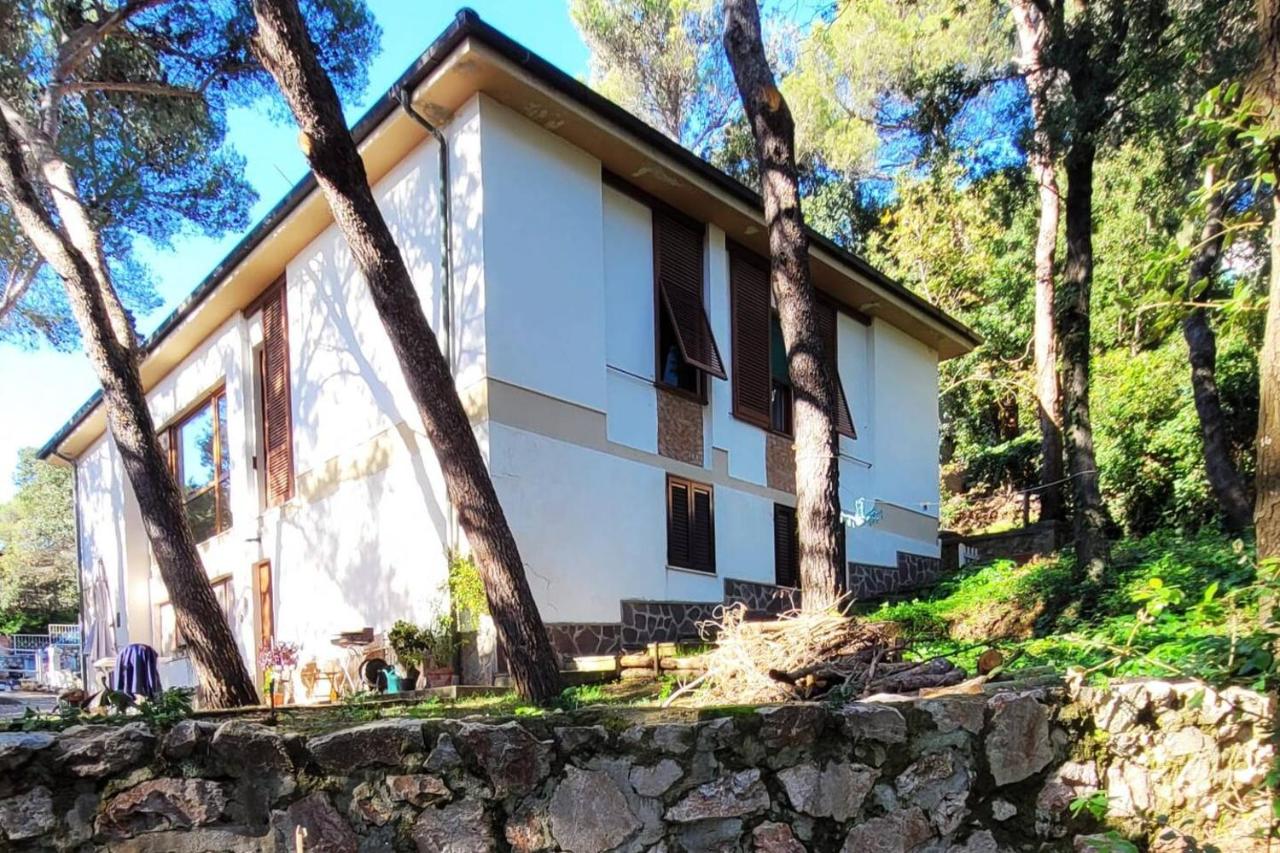 La casa in pineta - B&B