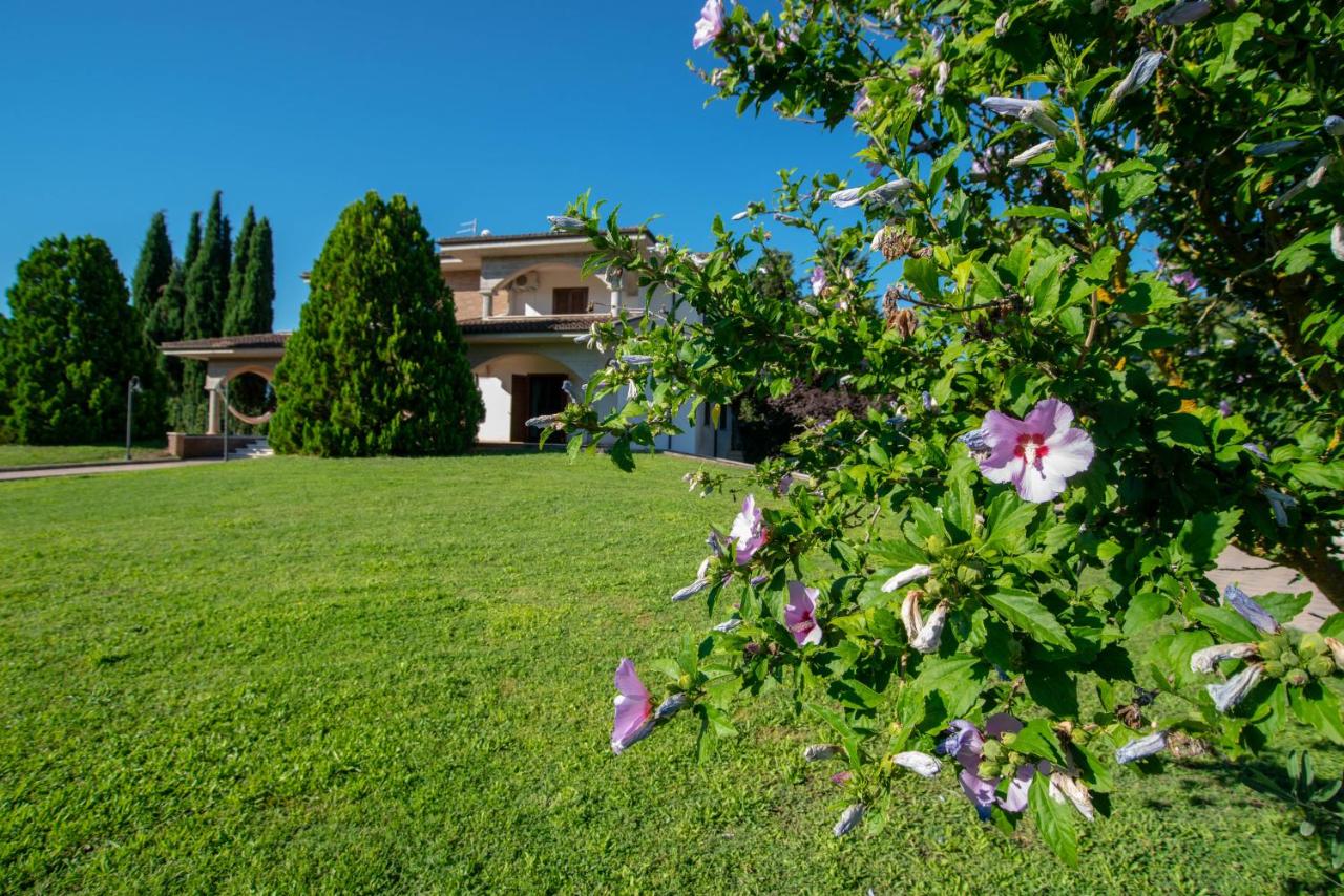 B&B Corfinio - La Villa dei Tartufi - B&B - Bed and Breakfast Corfinio