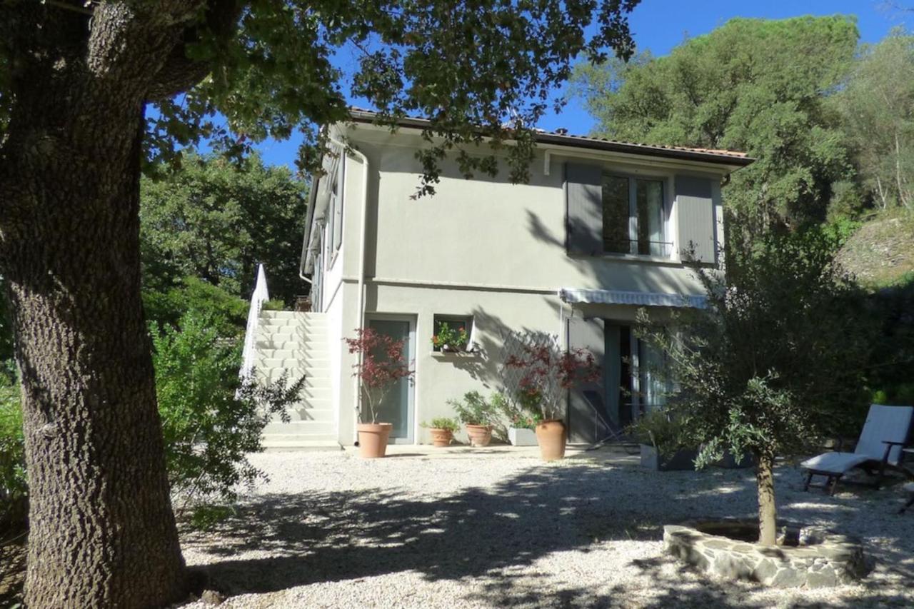 Les Chenes Sessiles - B&B Collobrières