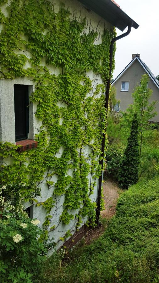 Haus Seefeld - B&B