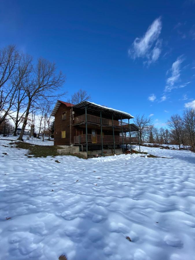 B&B Koutsodimos - Traditional Wooden Apartment - Bed and Breakfast Koutsodimos