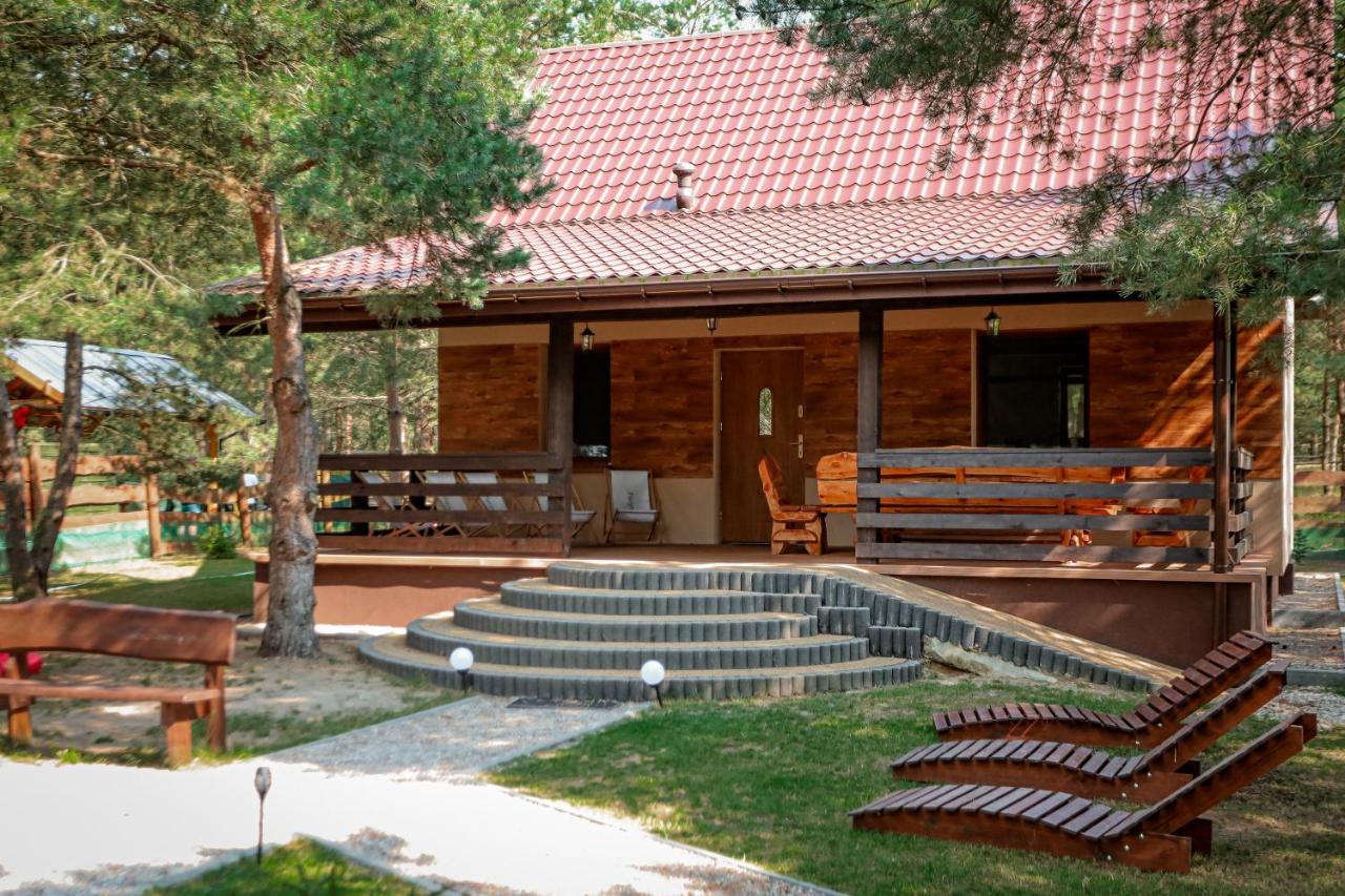 Pasymianka House całoroczny dom z sauną i beczką z zimną wodą - Chambres d'hôtes Pasym