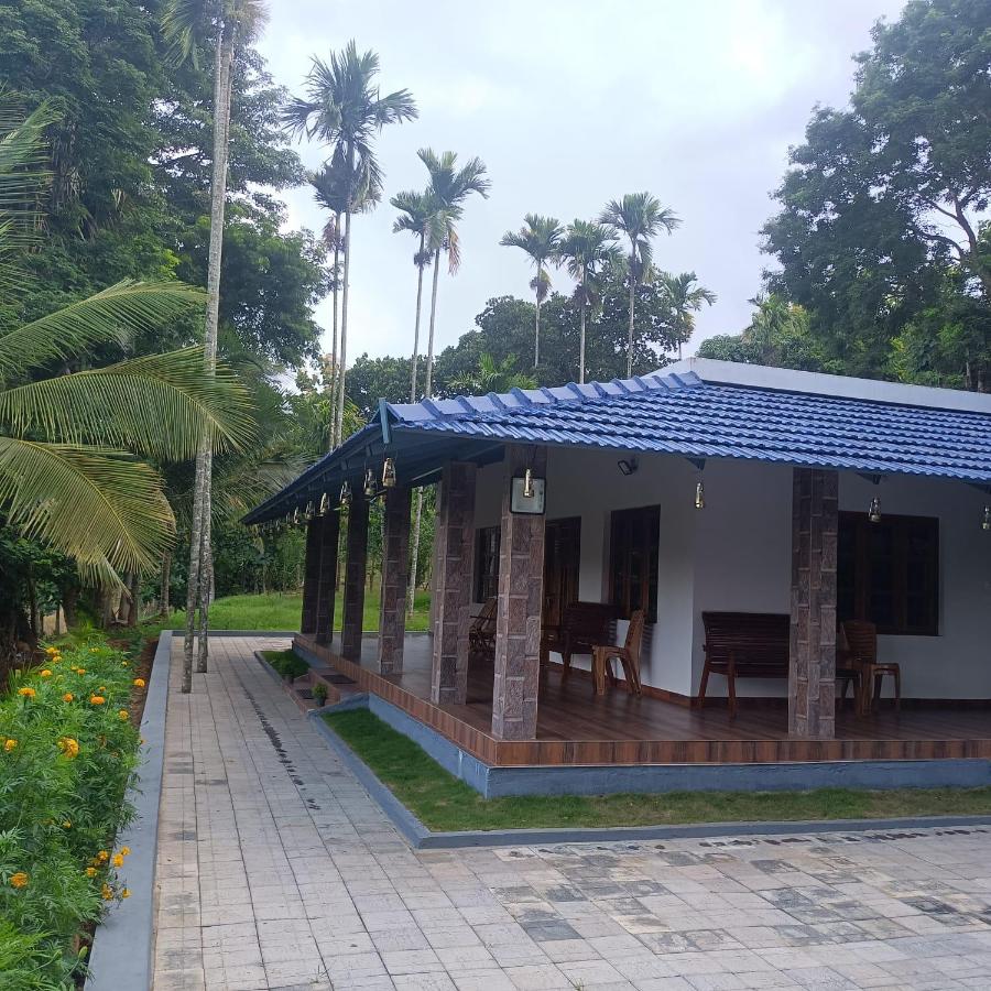 B&B Attappādi - PADAVAYAL GREENS - Bed and Breakfast Attappādi