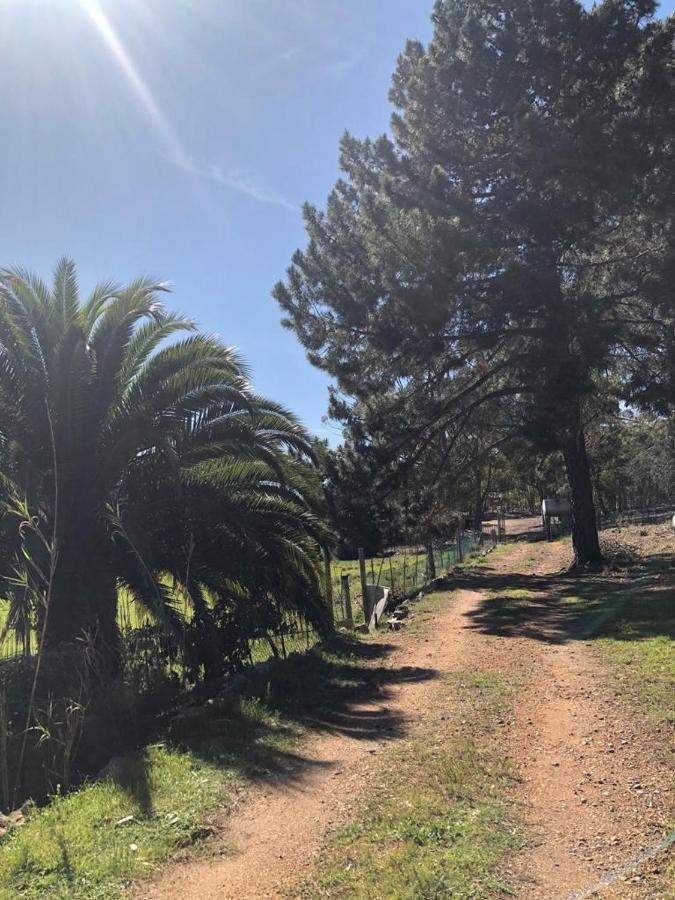 Chambre Double ou Lits Jumeaux avec Salle de Bains