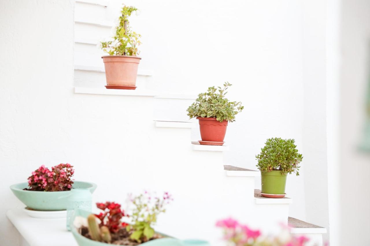 Villa Mina - Ferienwohnung Ostuni