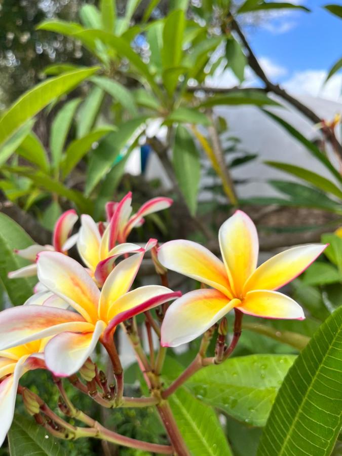 Giardino Di Sicilia - Ferienwohnung