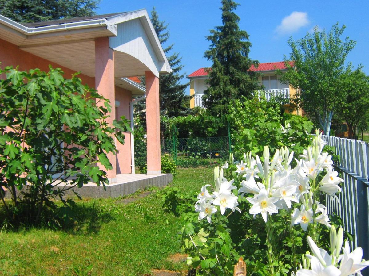 Fészek Apartmanház - B&B