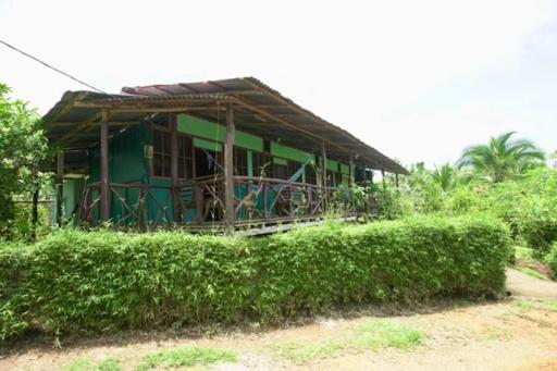 Cabinas vista isla del caño corcovado - B&B Drake