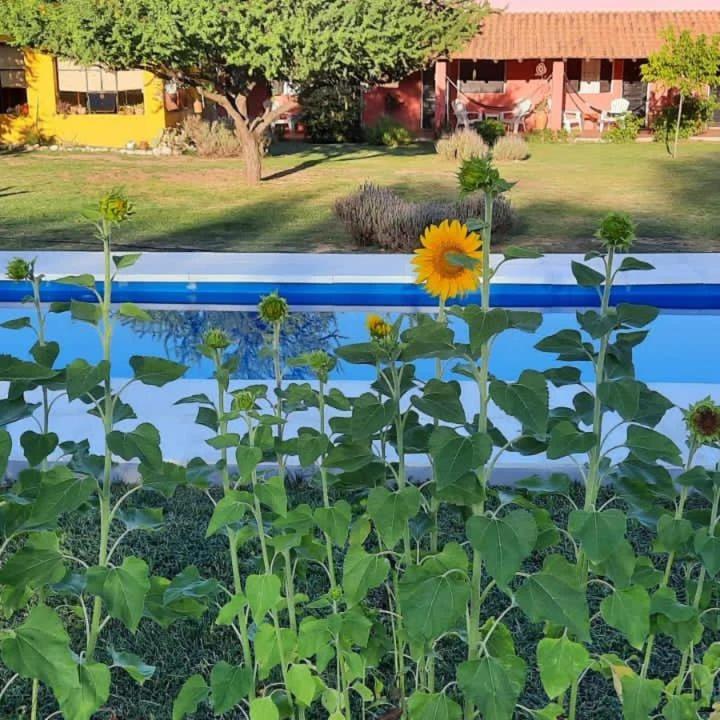 B&B San Javier - Posada Villapancha - Bed and Breakfast San Javier