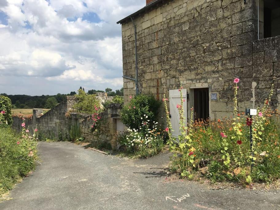 Gîte Bon Accueil, 3 étoiles, Souzay-Champigny 49 - Ferienwohnung Souzay
