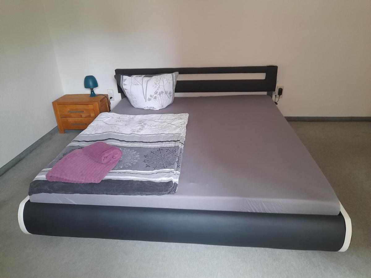 Schöne Wohnung für Monteure und sonstige Reisende - B&B Zwickau