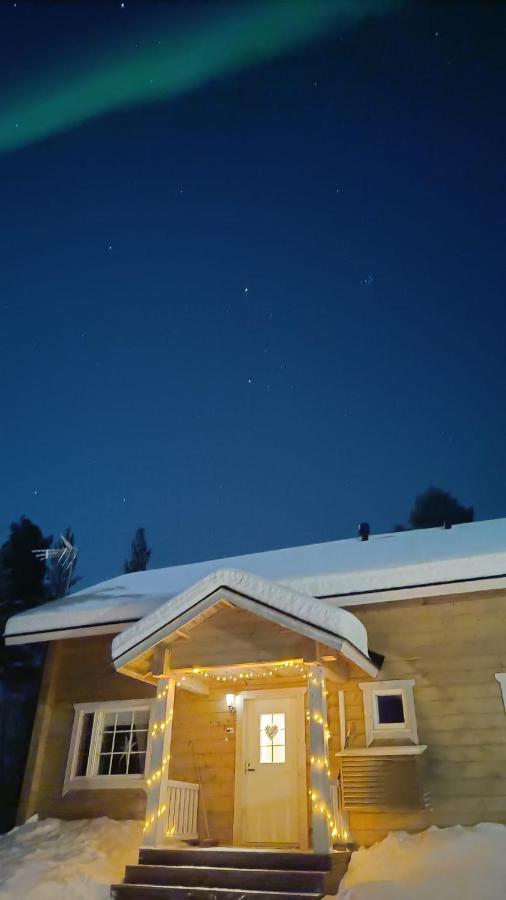 Hallahaukka - B&B Ivalo