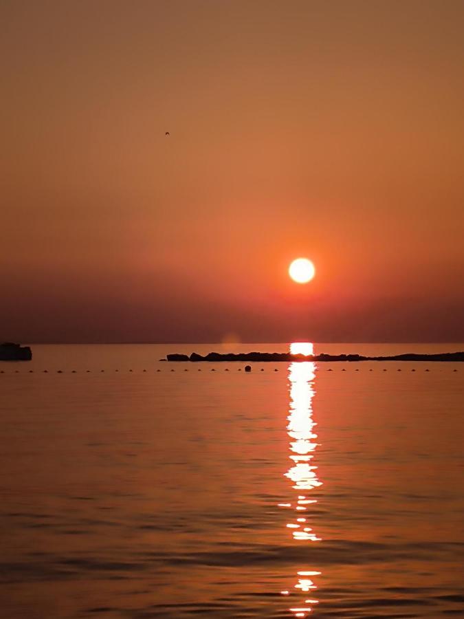 Apartments Orlić - B&B Povljana