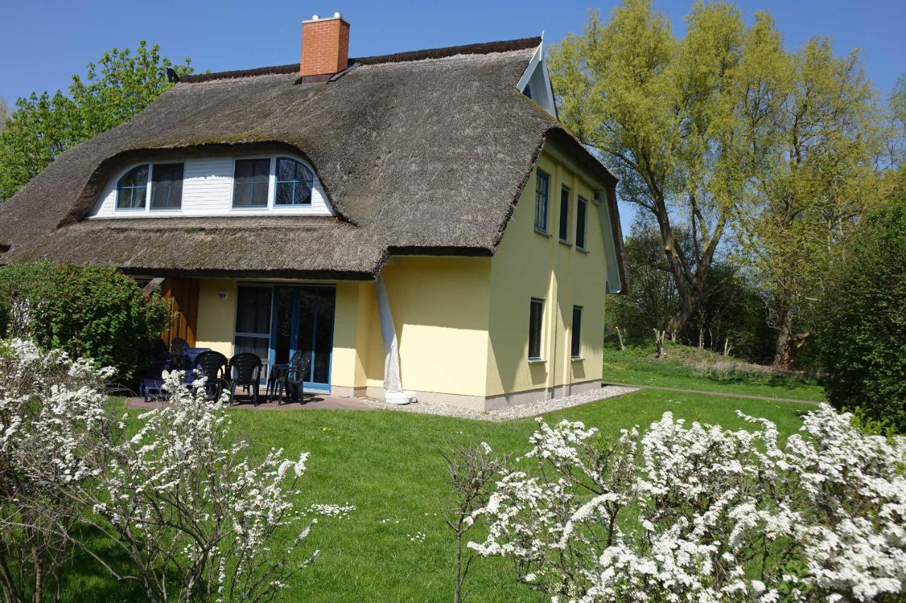 B&B Puddemin - Reetdachhaus Weißdorn 1 - Bed and Breakfast Puddemin