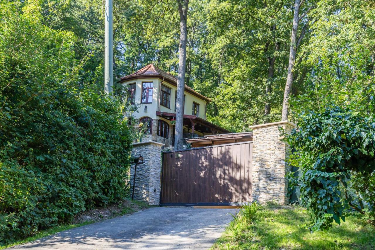 Kőszikla Vendégház a csendes pihenésre vágyóknak! - Chambres d’hôtes Kismaros