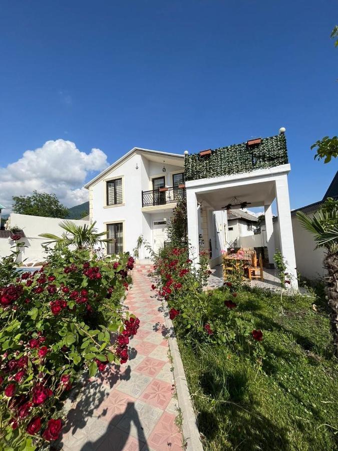 B&B Gabala - Qafqaz mountain white villa - Bed and Breakfast Gabala