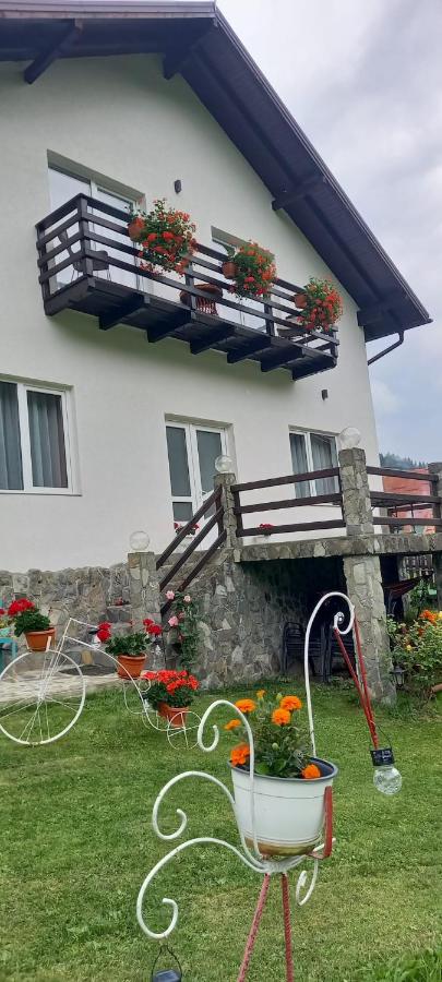 Casa de vacanta Varf de Munte Moieciu de Sus - Ferienwohnung