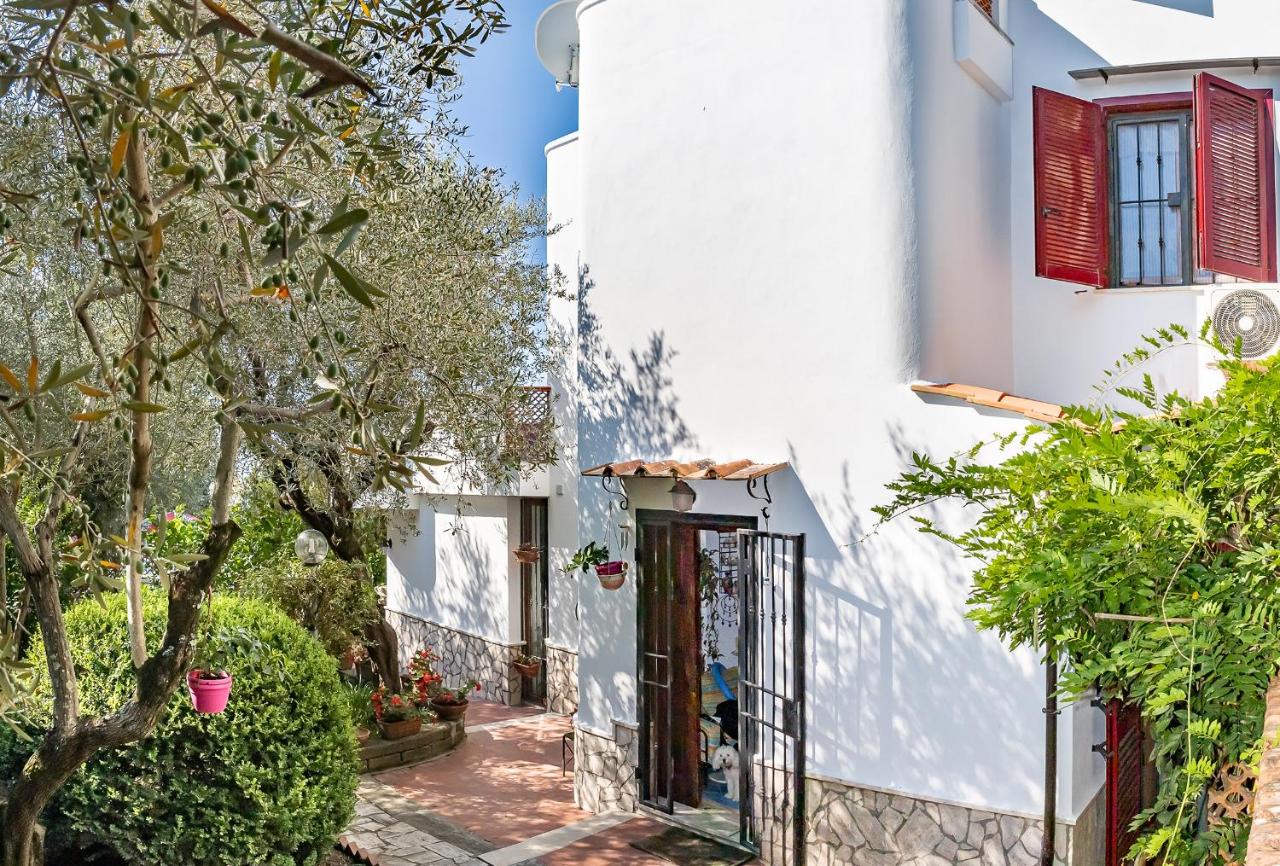 Casa Vacanza Olivegrove - Ferienwohnung