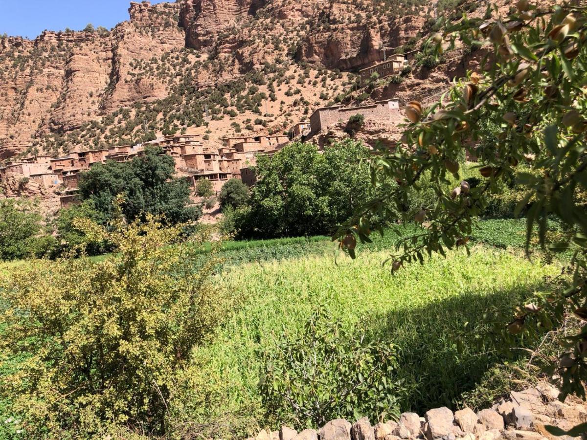 Gite Ifoulou Tassaout - B&B Ifoulou