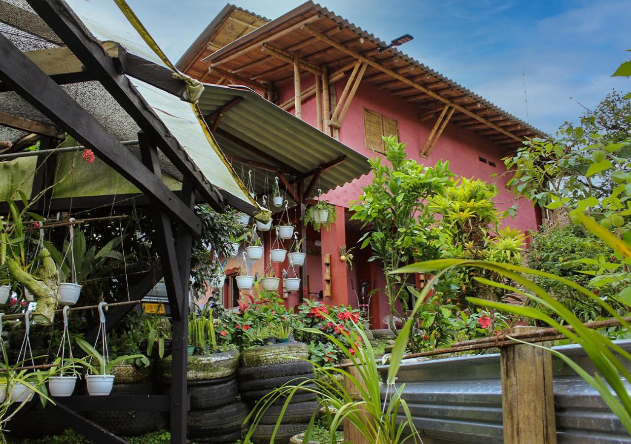 Hostal El Naranjito Filandia - B&B