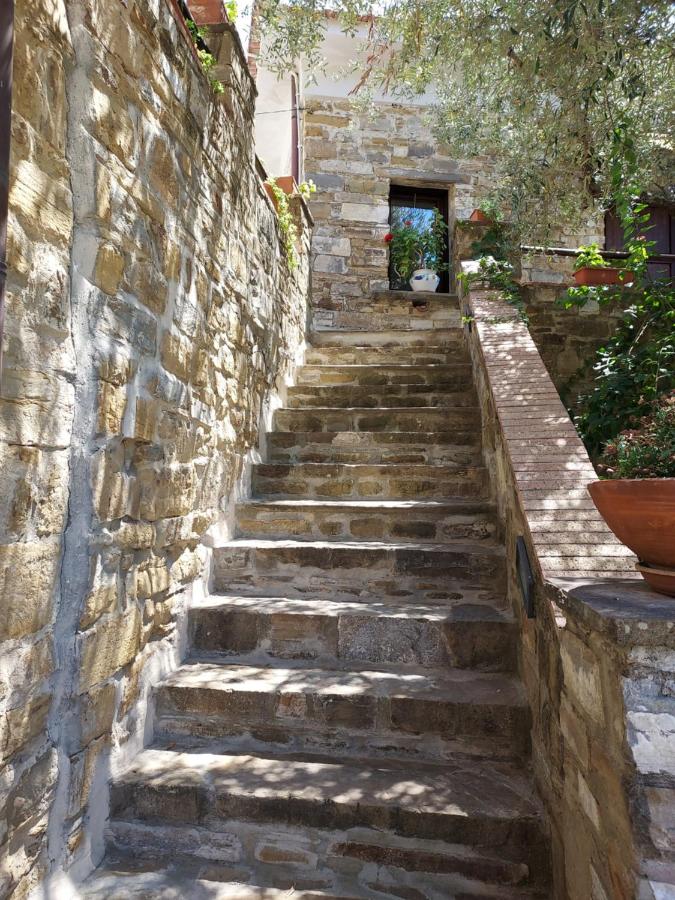 Casa La Lamia B&B - B&B Perdifumo