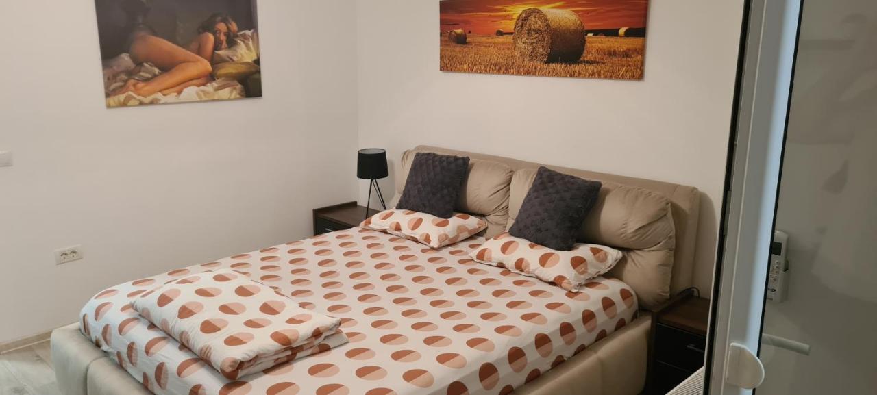 Apartament cu 1 camera spatios ,luminos . - B&B