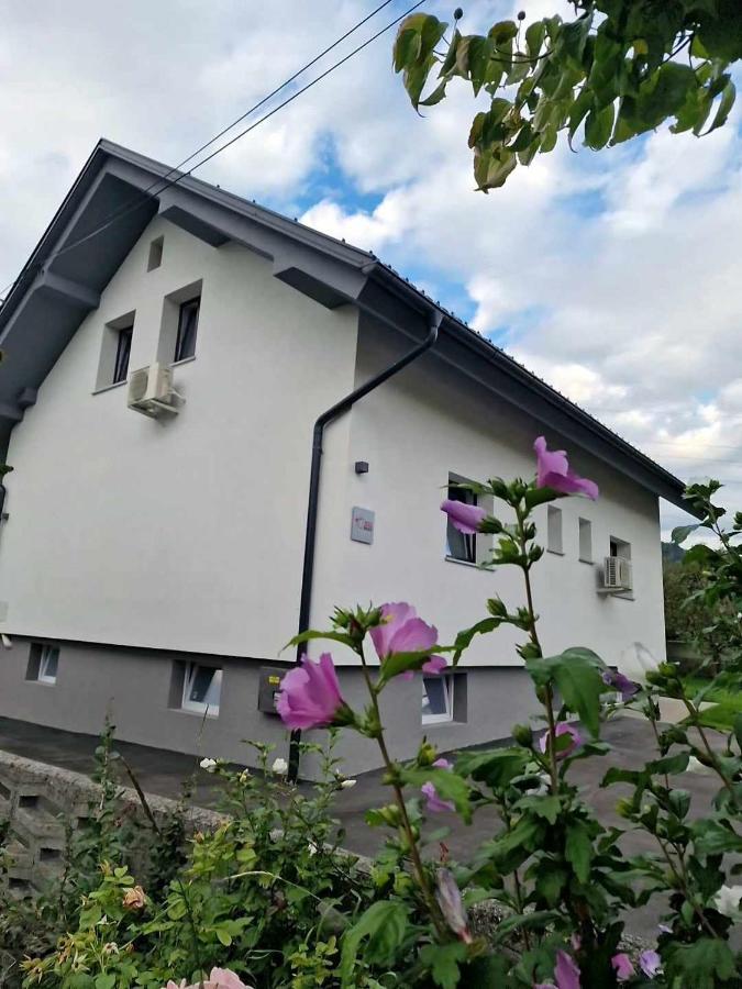 B&B Žirovnica - Aparthouse Jana Breg - Bed and Breakfast Žirovnica