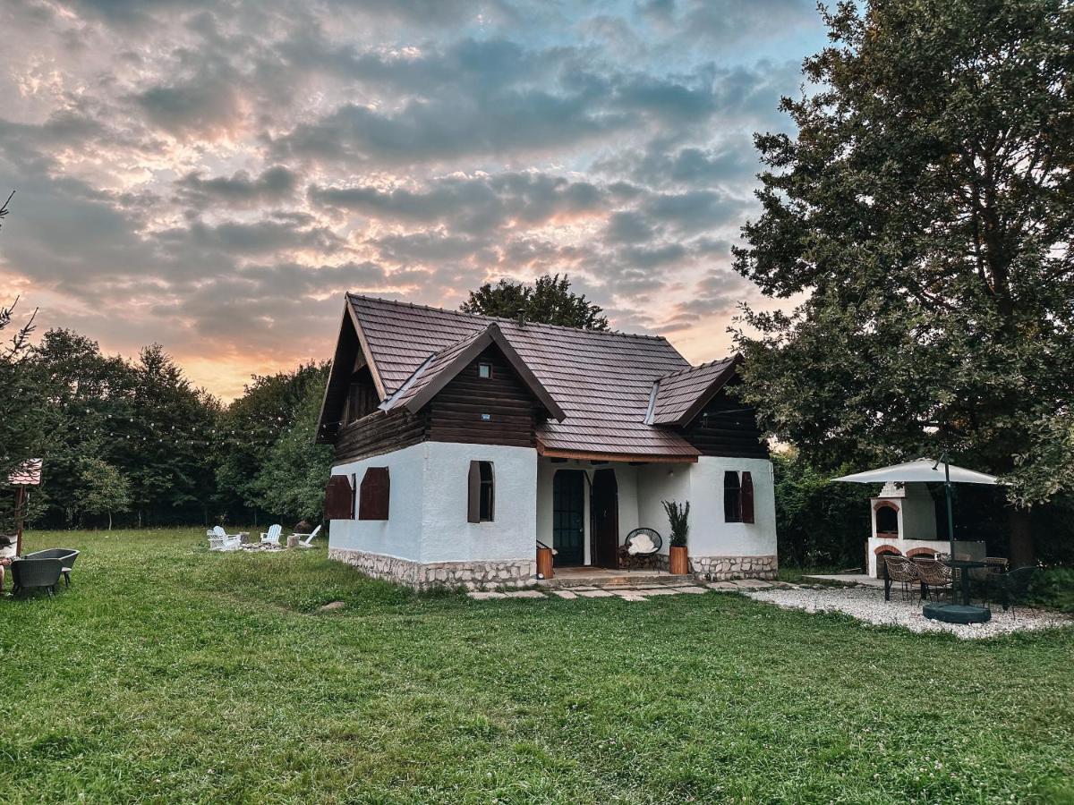 Cuib din Fagaras - B&B