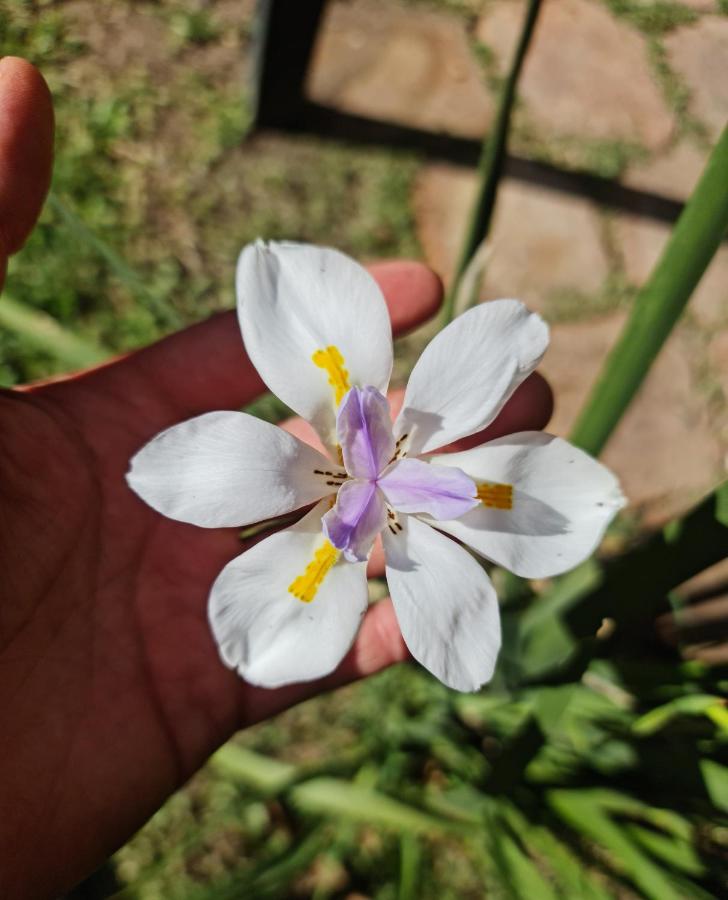 Cabañas La Ponderosa - B&B Villa Ventana