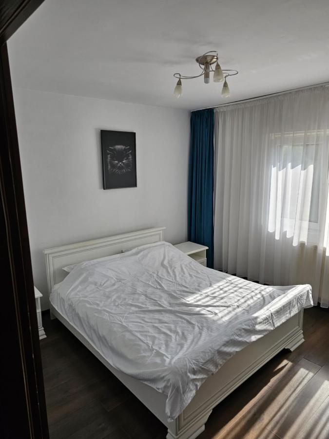 B&B Târgu Jiu - Apartament Rebeca Central - Bed and Breakfast Târgu Jiu