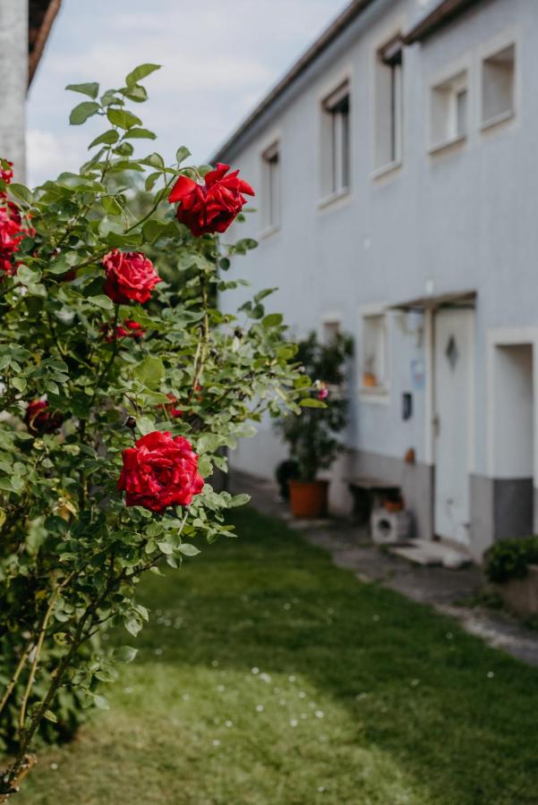 B&B Schützen am Gebirge - Ferienwohnung Morgensonne - Bed and Breakfast Schützen am Gebirge