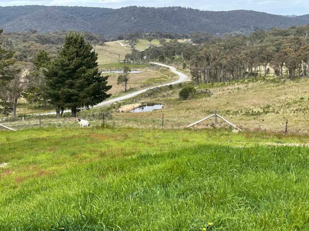 B&B The Forest - Gorkha Village Goulburn - Bed and Breakfast The Forest