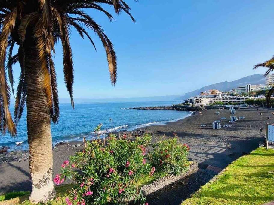 SVA&YA Sunflower In Playa La Arena - B&B