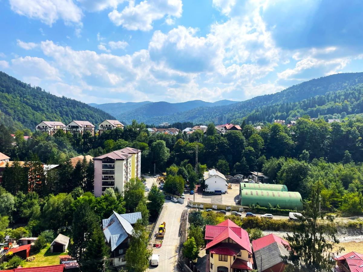 Sinaia Walter 20 Penthouse w. Private Parking - B&B