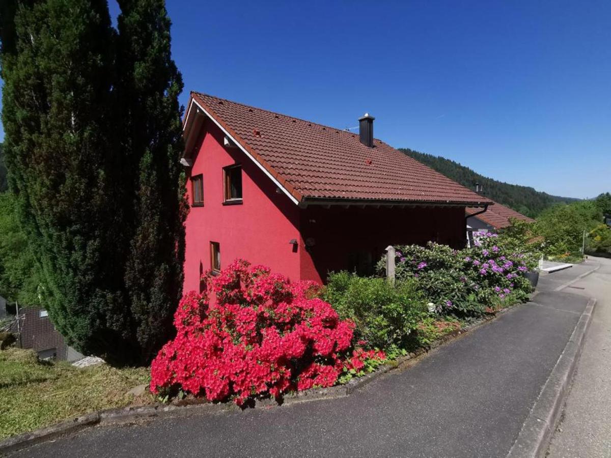 B&B Hornberg - Ferienwohnung Am Rubersbach - Bed and Breakfast Hornberg