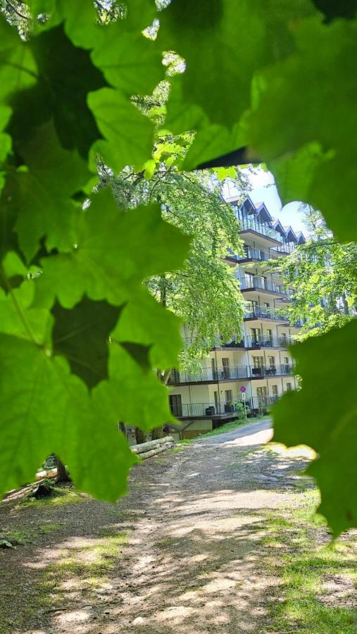 Apartament z pięknym widokiem na las - B&B