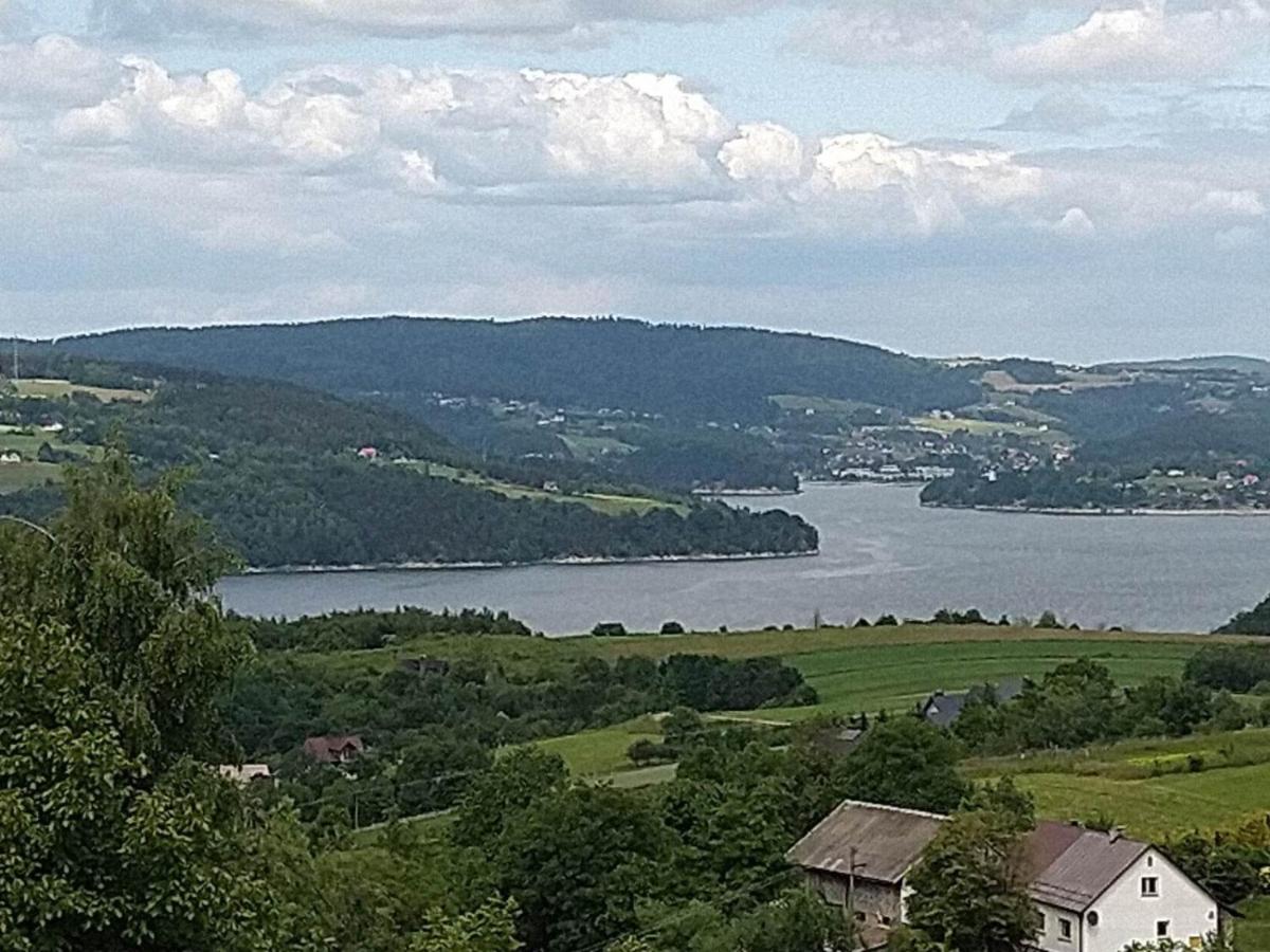 Domek nad jeziorem Rożnowskim - Gródek Nad Dunajcem - B&B