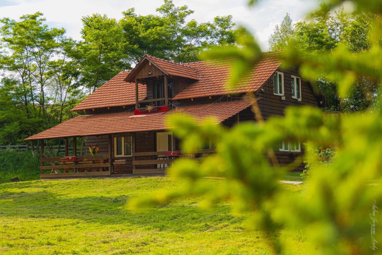 Cabana Amis - B&B Poieni