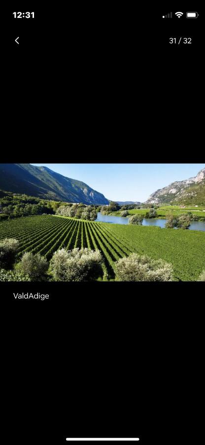[The window On The Valdadige] Sport and Nature - B&B Ceraino