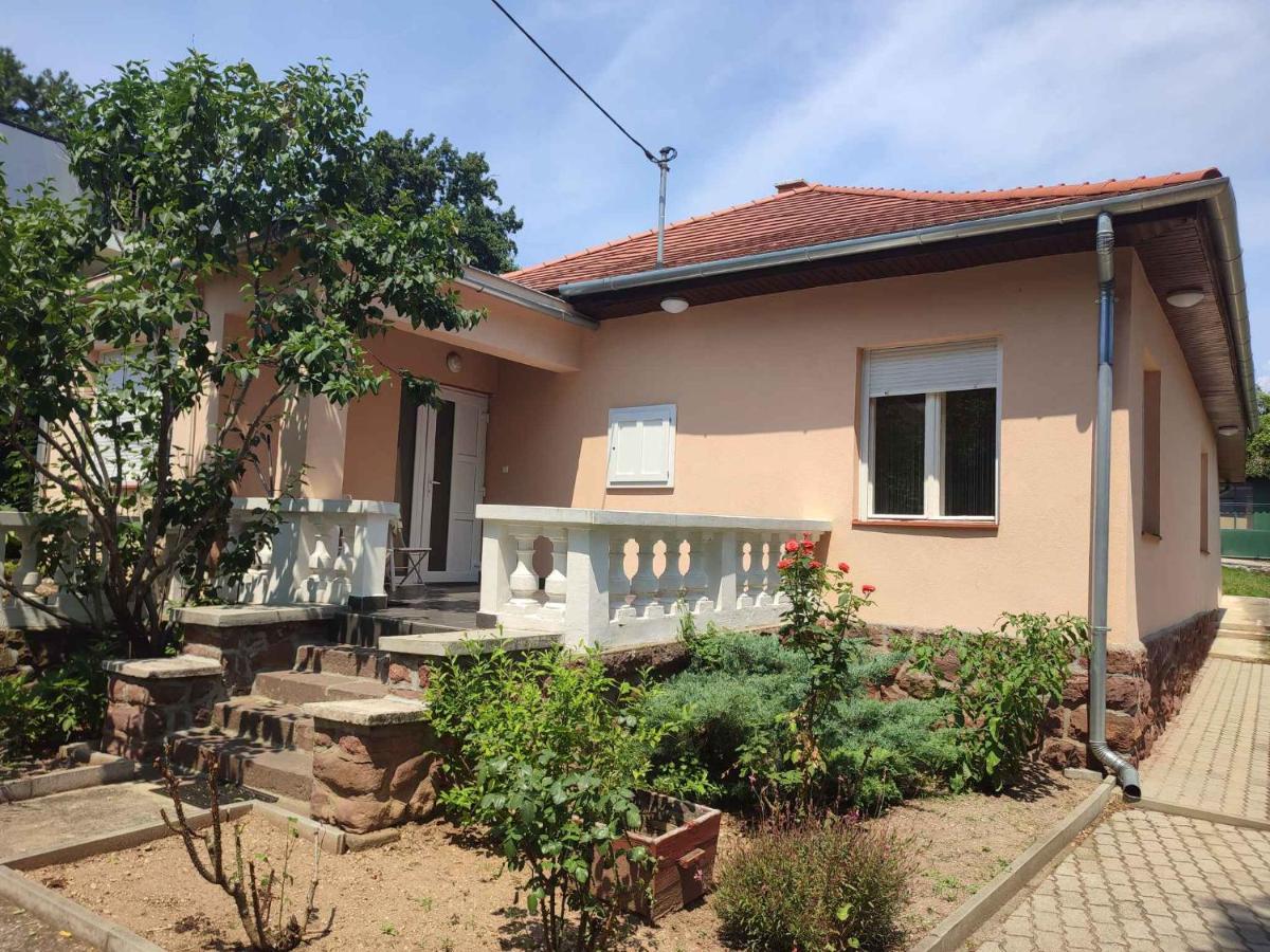 Apartment in Balatonalmadi 45314 - B&B