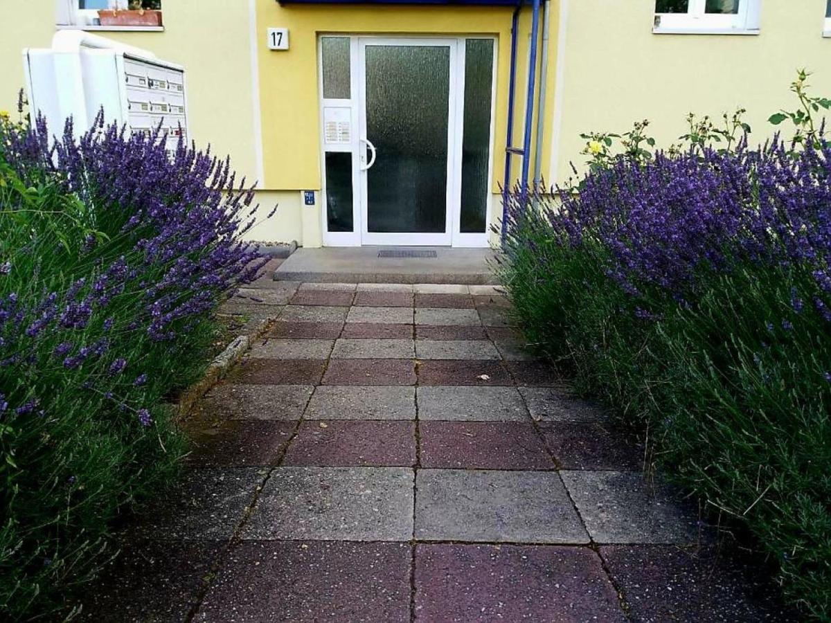 Helles Apartment mit Balkon am Großen Garten nahe Stadtzentrum - Bed and Breakfast Dresden