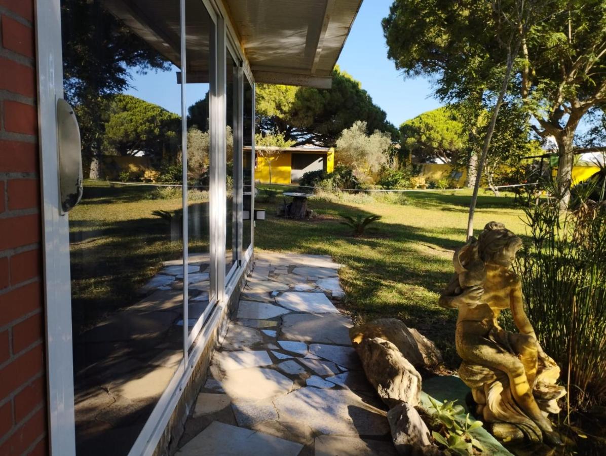 Jacaranda - B&B