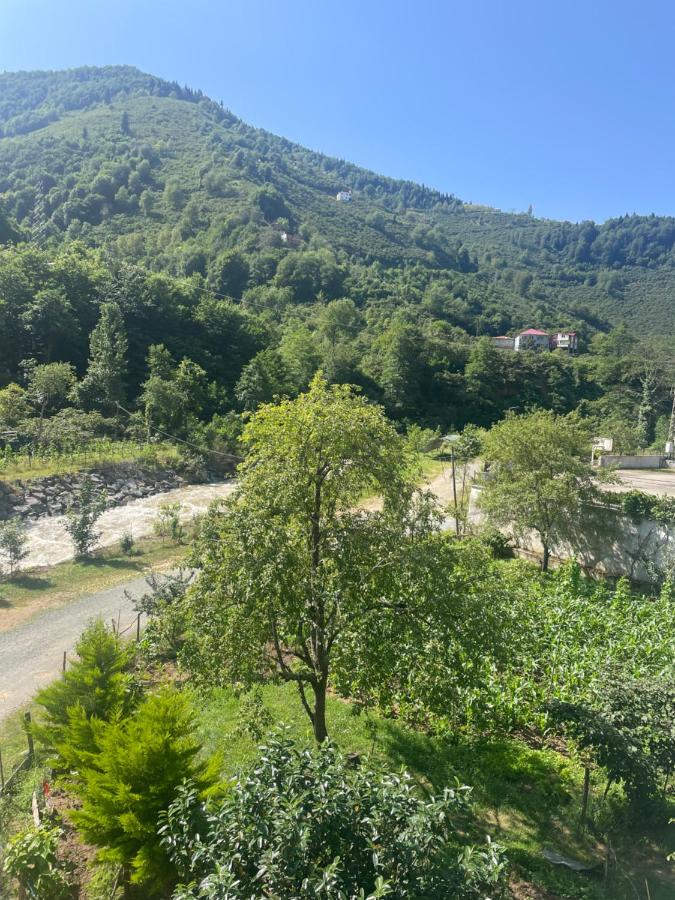 Yeşil ve huzur dolu bir daire - B&B Bulancak