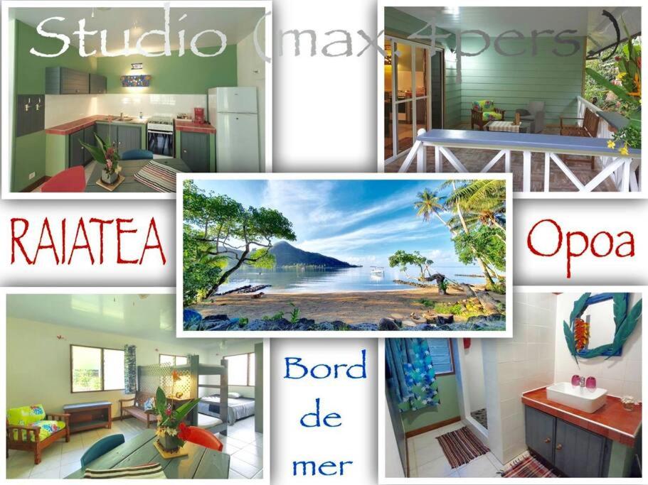 B&B Opoa - RAIATEA, Opoa, Studio du Fare Rêvé, accès mer privatif - Bed and Breakfast Opoa