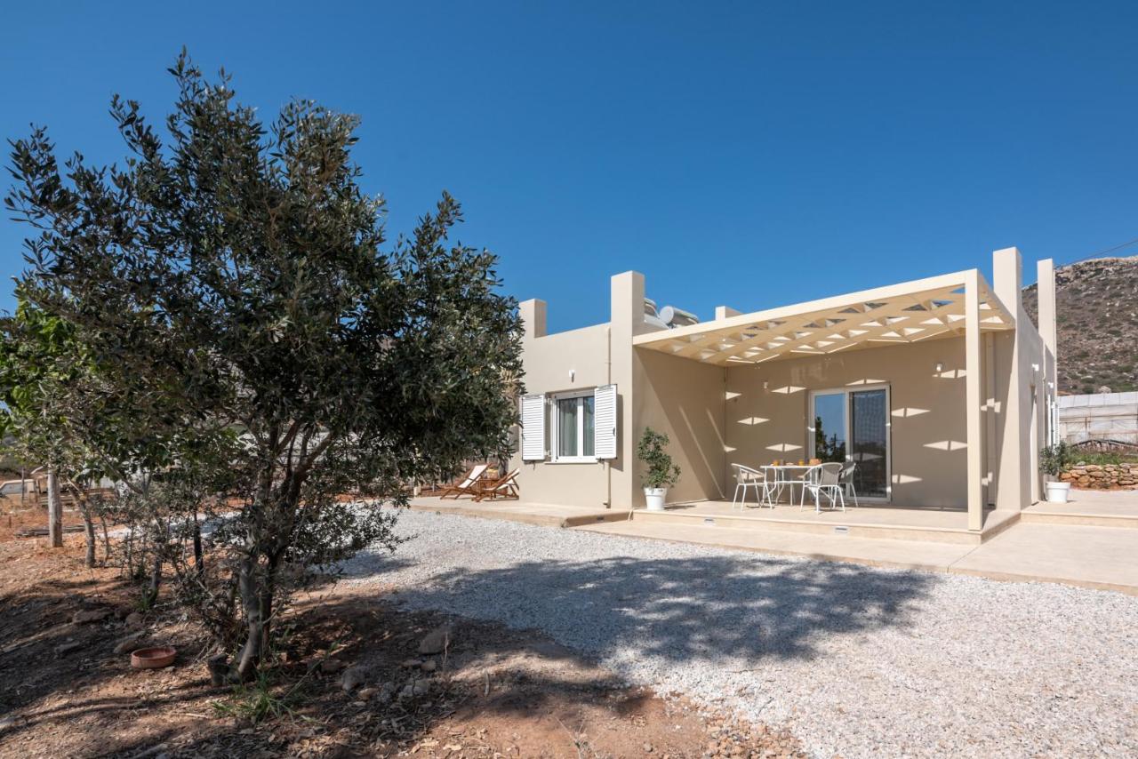 Koutris Apartment 2 - B&B