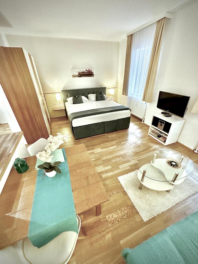 Large Studio Apartment