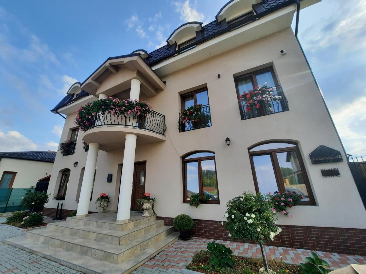 B&B Râşnov - AristoCat Hotels Rasnov - Bed and Breakfast Râşnov