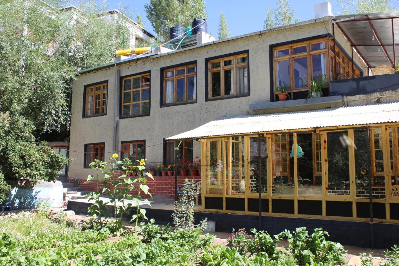 B&B Leh - Karma Lodge - Bed and Breakfast Leh