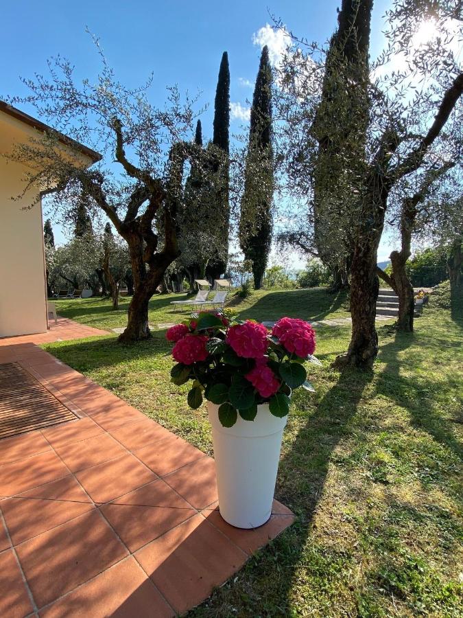 Camera King con Vista Giardino