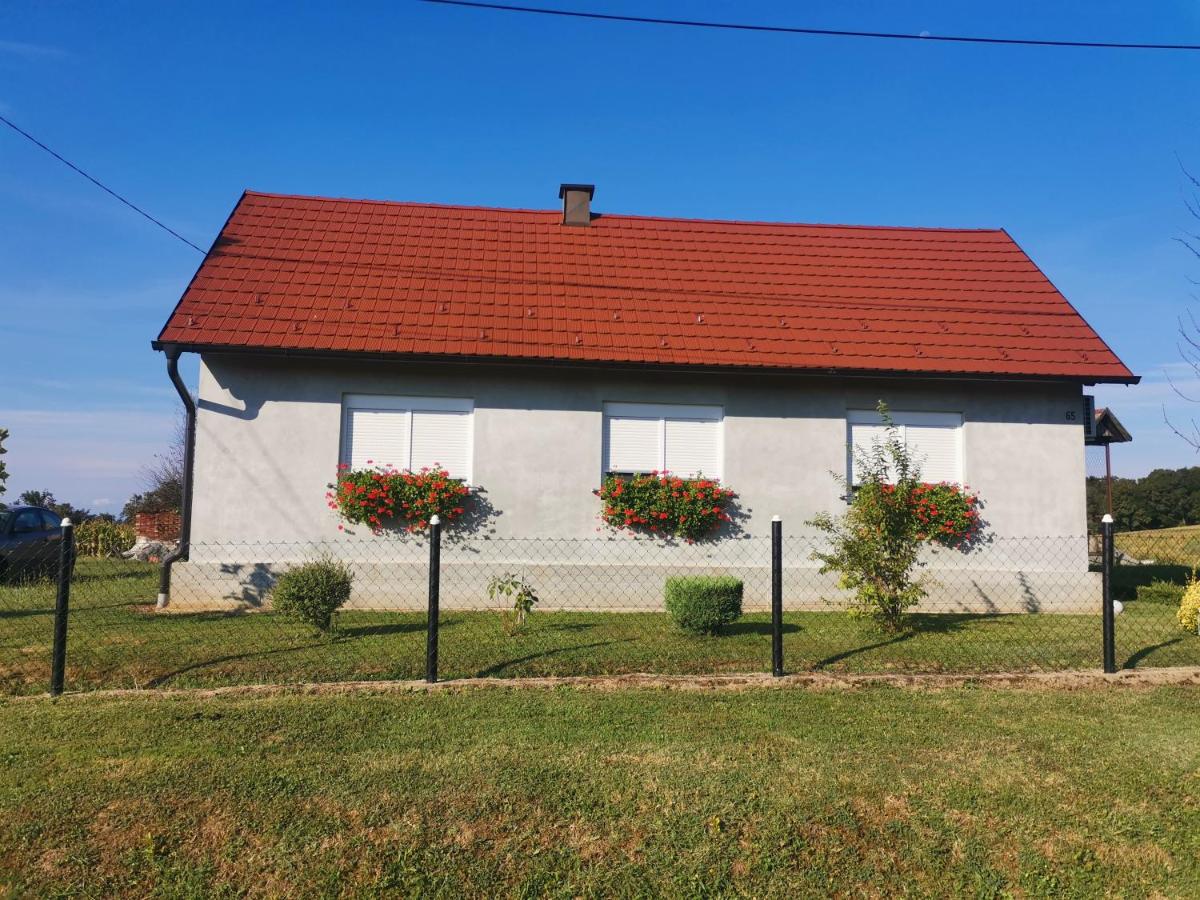 Holiday house Zoki - B&B Kutina